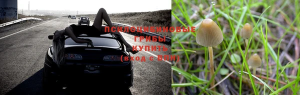 мдпв Корсаков
