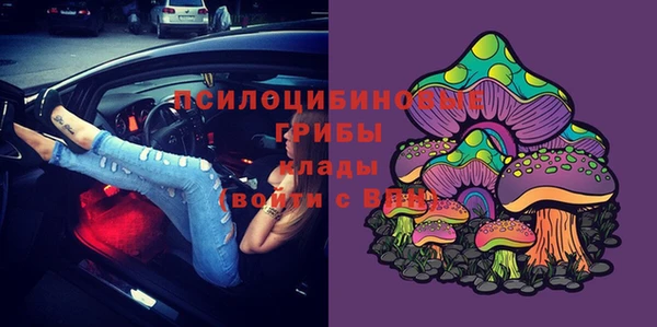 мдпв Корсаков